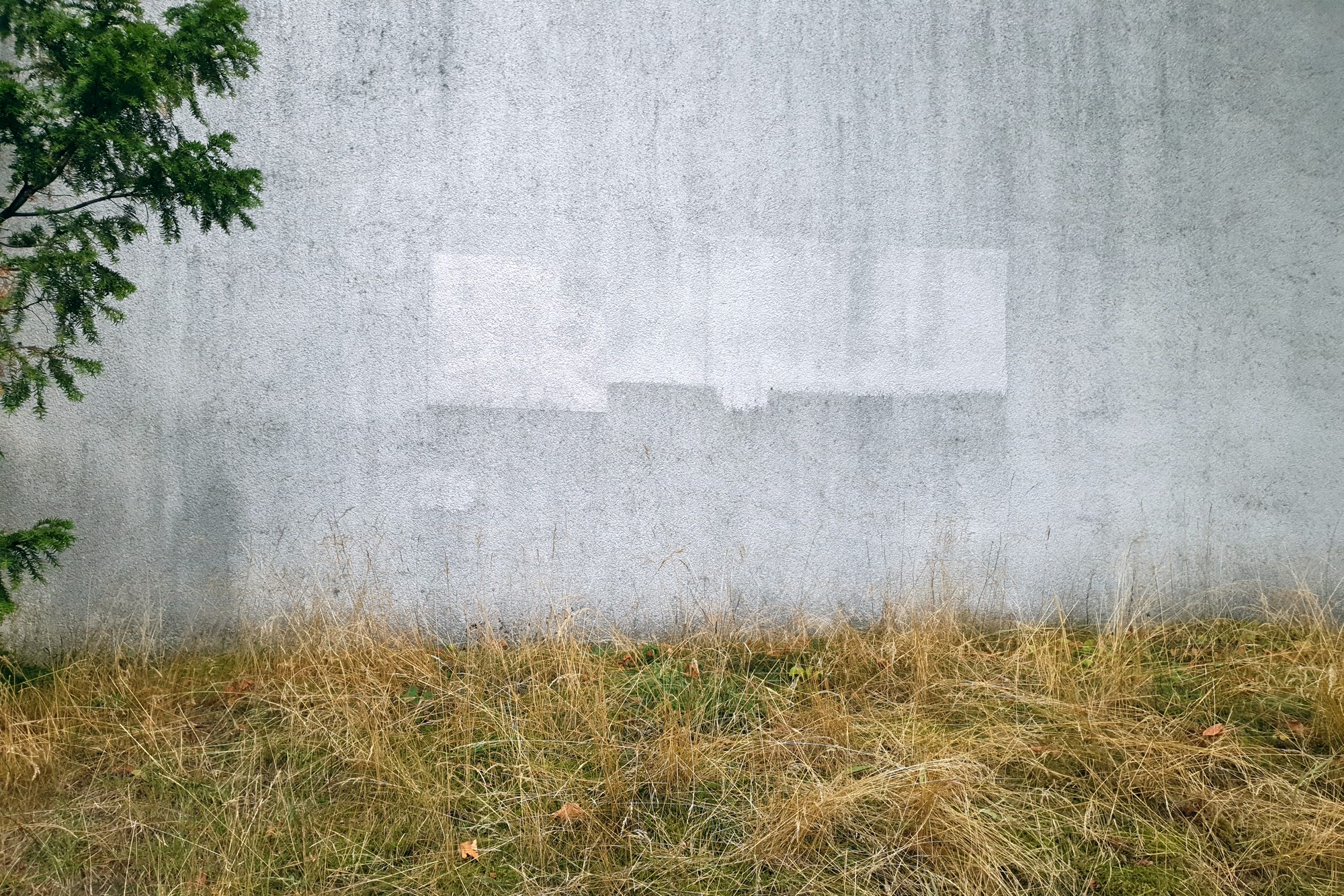 Bild 38