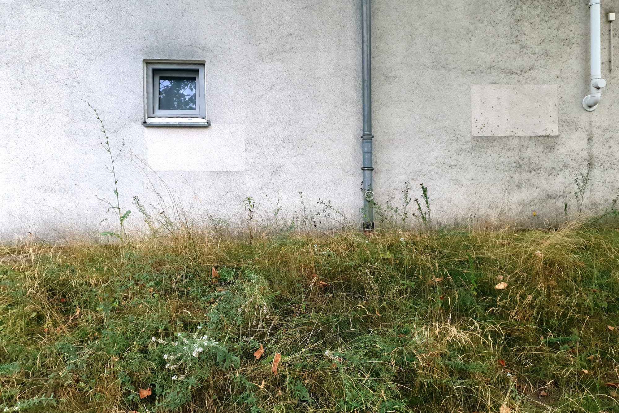 Bild 37