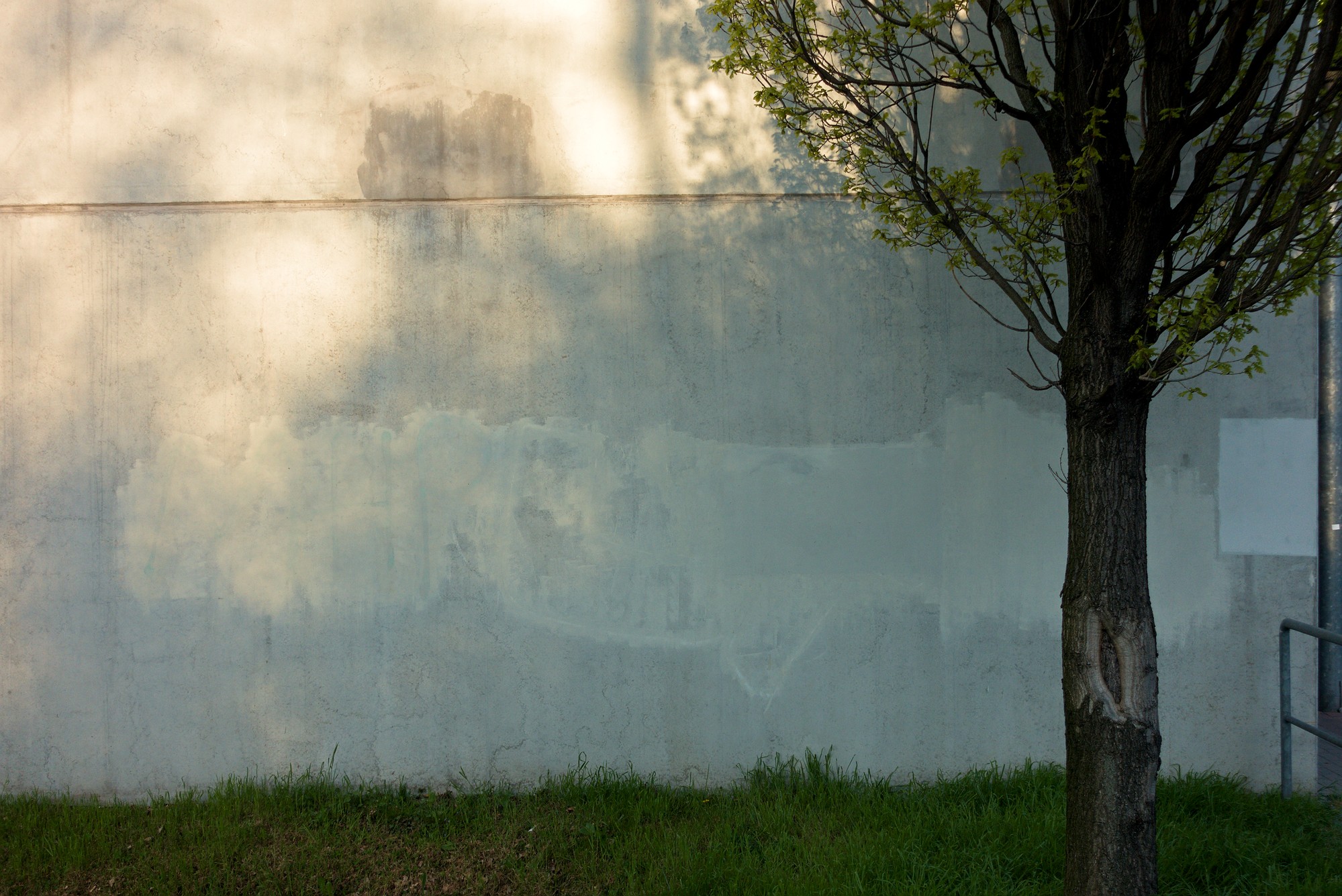Bild 31
